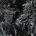 海带头海带头段海带中段海带根海带干货海带片海带块
