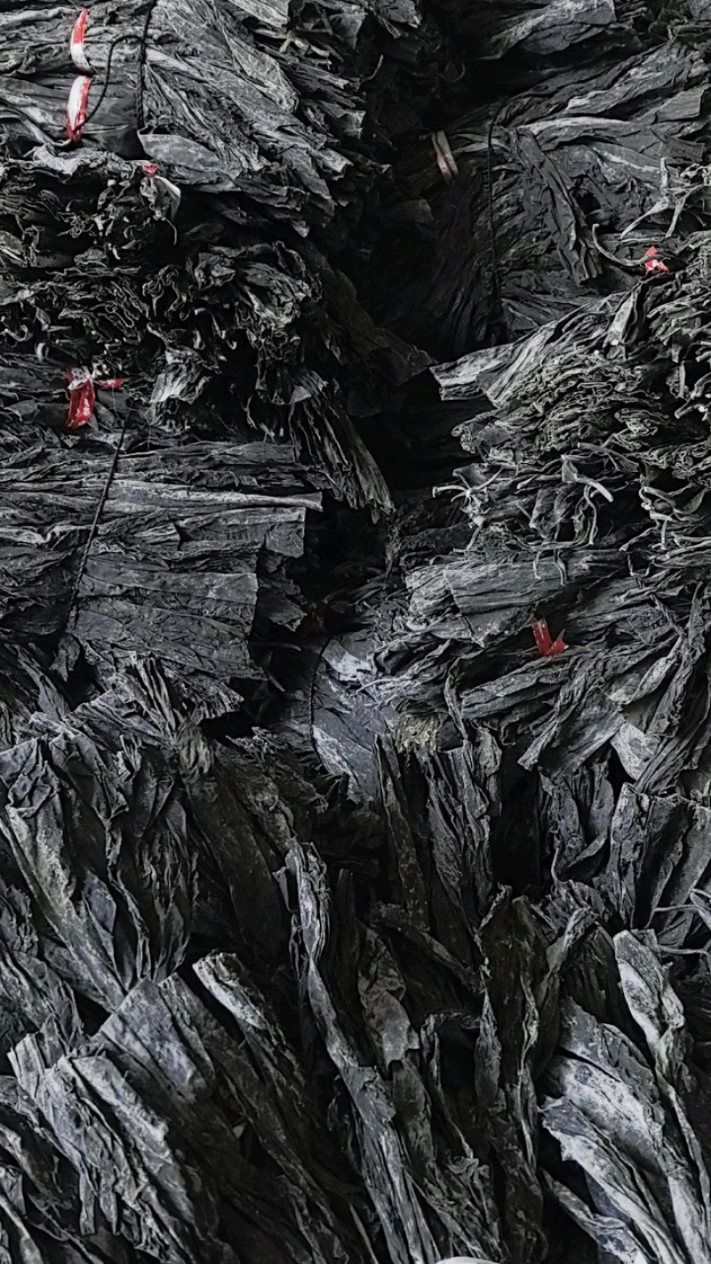 海带头海带头段海带中段海带根海带干货海带片海带块