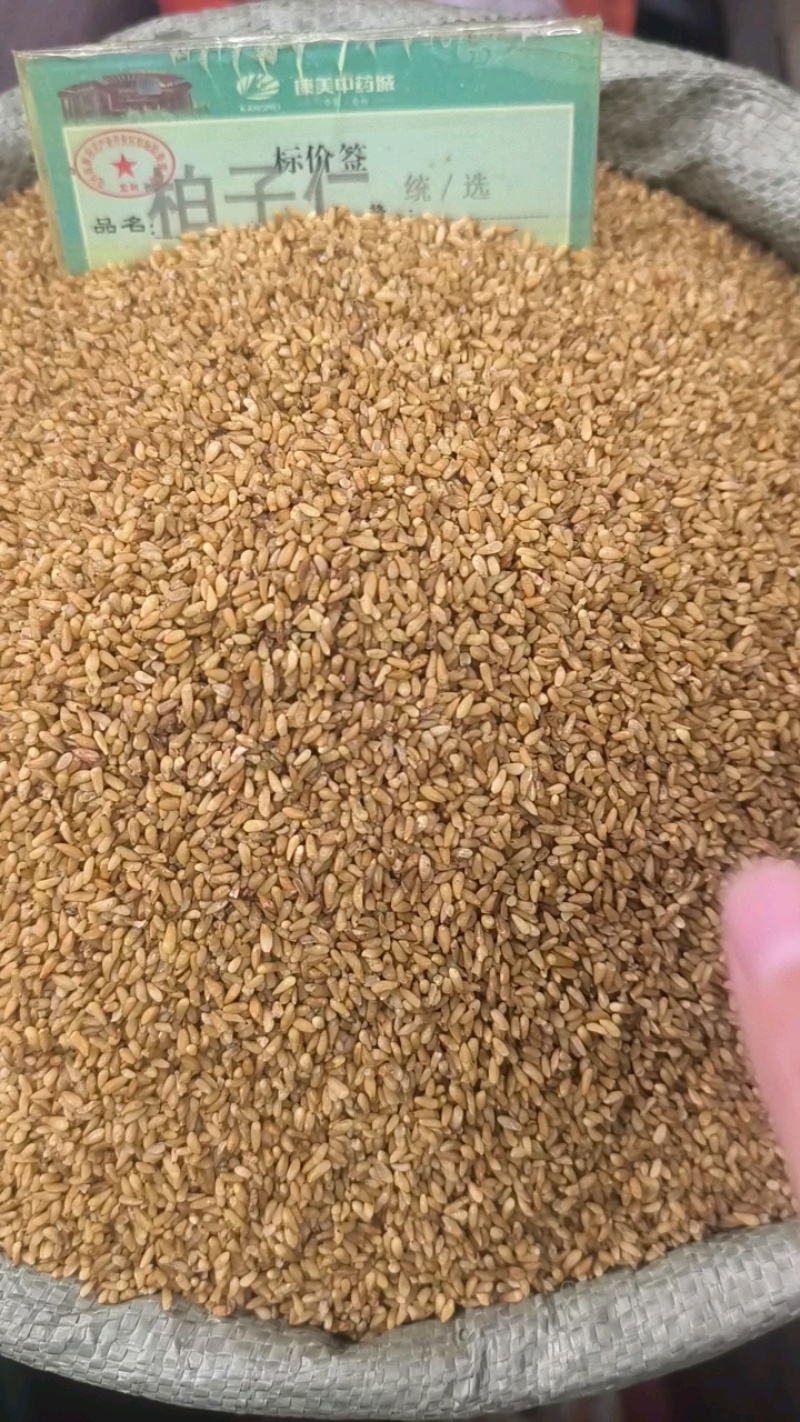 柏子仁颗粒饱满无硫常年加工可供大货地道中药材