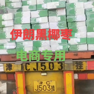 （优选）伊朗黑椰枣，一手货源电商专用整车批发支持一件代发