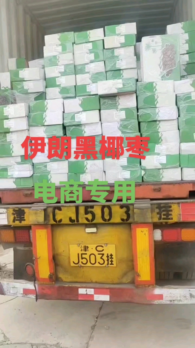 （优选）伊朗黑椰枣，一手货源电商专用整车批发支持一件代发