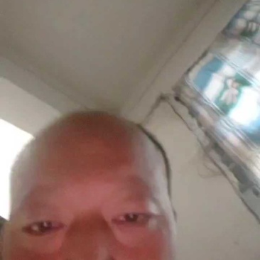 红皮洋葱洋葱大量上市产地直发优质货源可视频看货