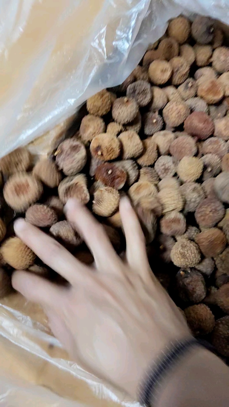 .广西博白鸡嘴荔枝干无硫材火烤软糯香甜批发零售