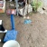 山东优质先锋樱桃基地，大量上市中，美早红灯布鲁克斯，萨米