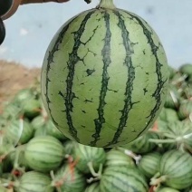 小糖丸产地直发，精品，电商，甜度高，高品质，高质量。