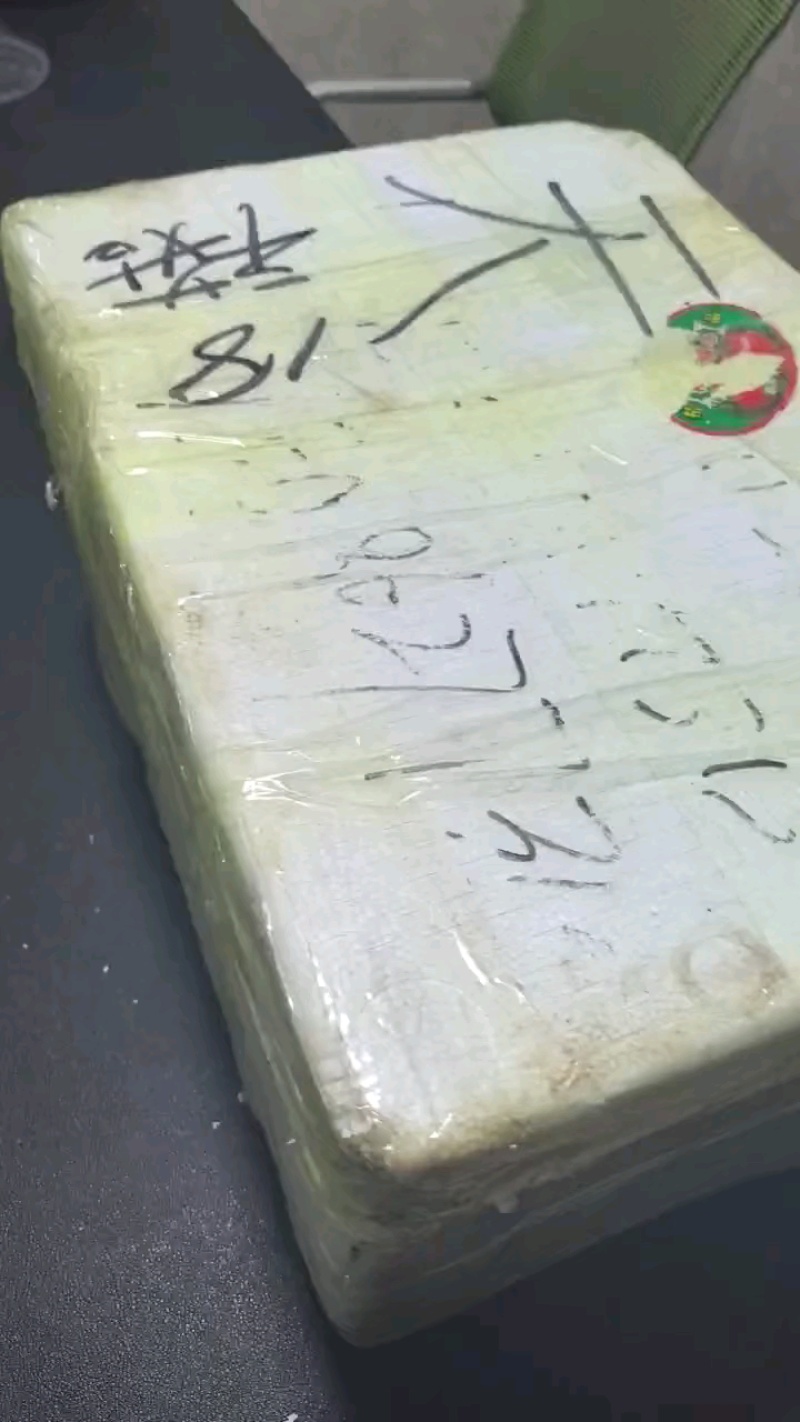 【六百万销量】野生新鲜冬虫夏草虫体饱满结实品质保证