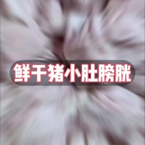 新鲜猪小肚批发顺平产地直供全规格盐渍干货