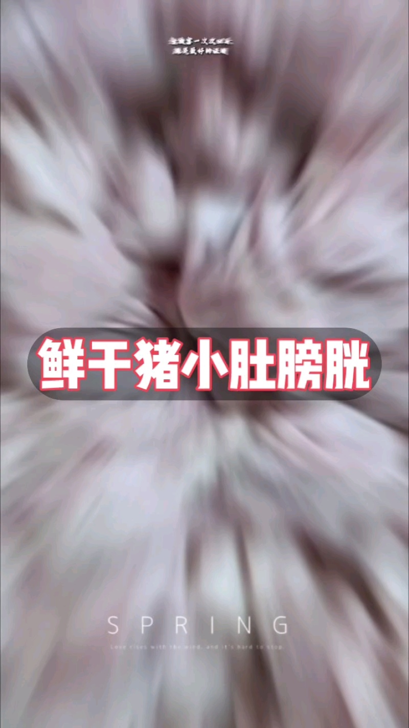 新鲜猪小肚批发顺平产地直供全规格盐渍干货