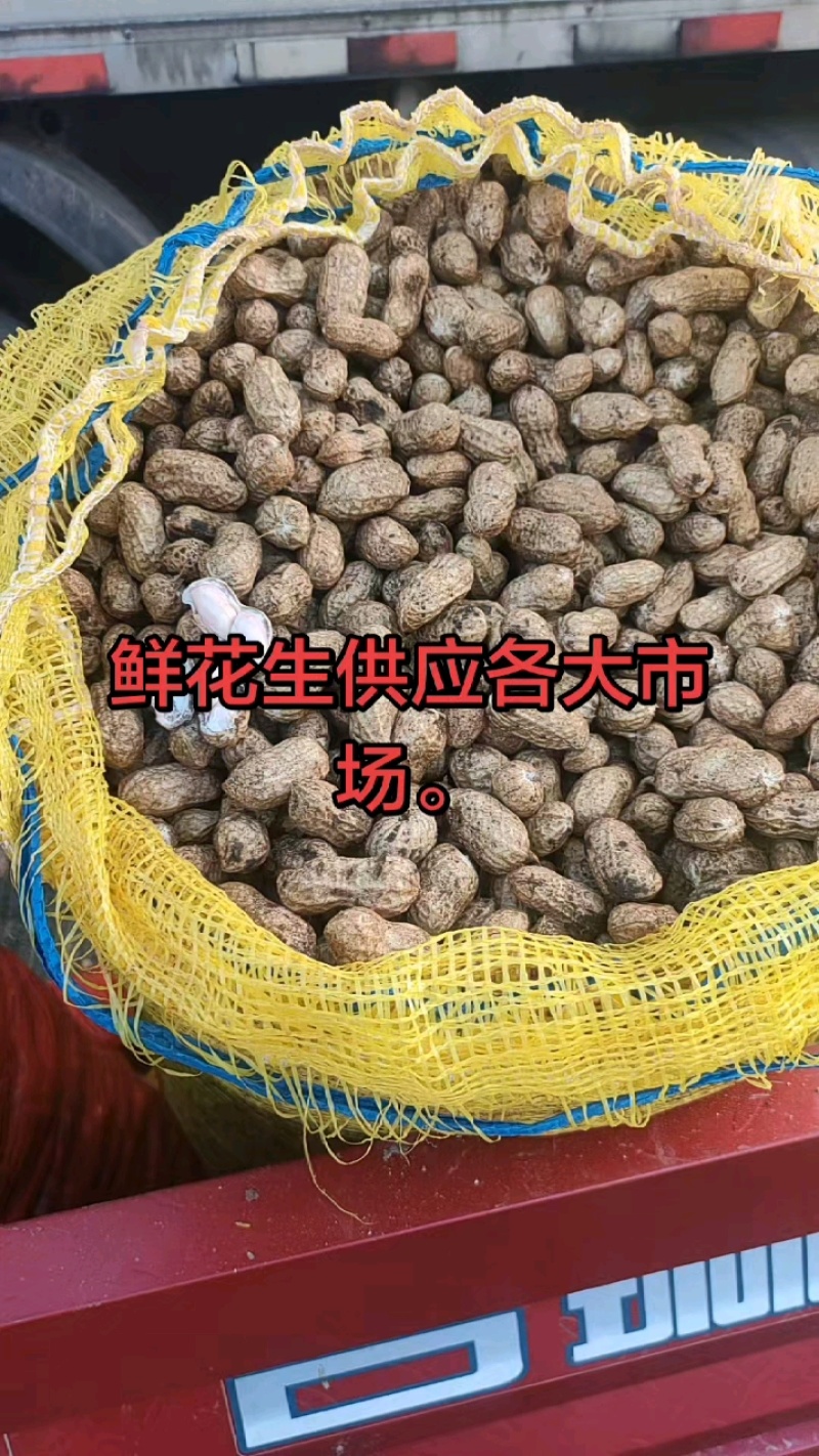河南花生，鲜花生，大白沙小白沙罗汉果四粒红档口电商