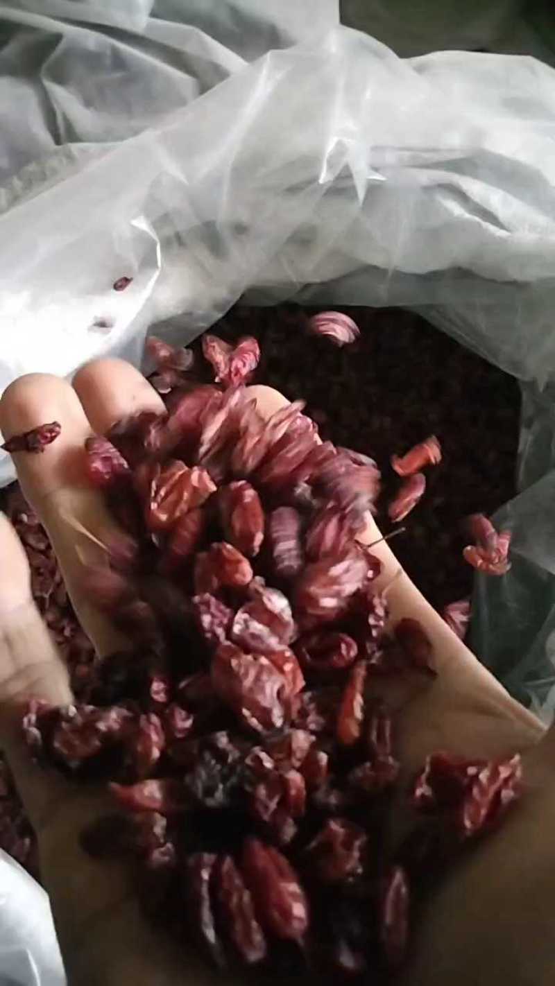 陕西山茱萸，山萸肉颜色好无籽干度好，可以泡酒也可以做药。