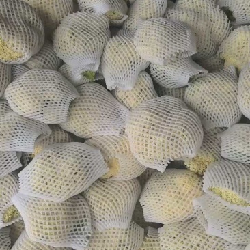 松花菜，散花，松花，有机菜花，咸阳有机花，陕西松花，三原