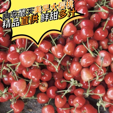 樱桃山东露天美早大樱桃精品货源产地直供品质保障
