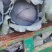 紫甘蓝大量上市中产地直供质量保证货源充足