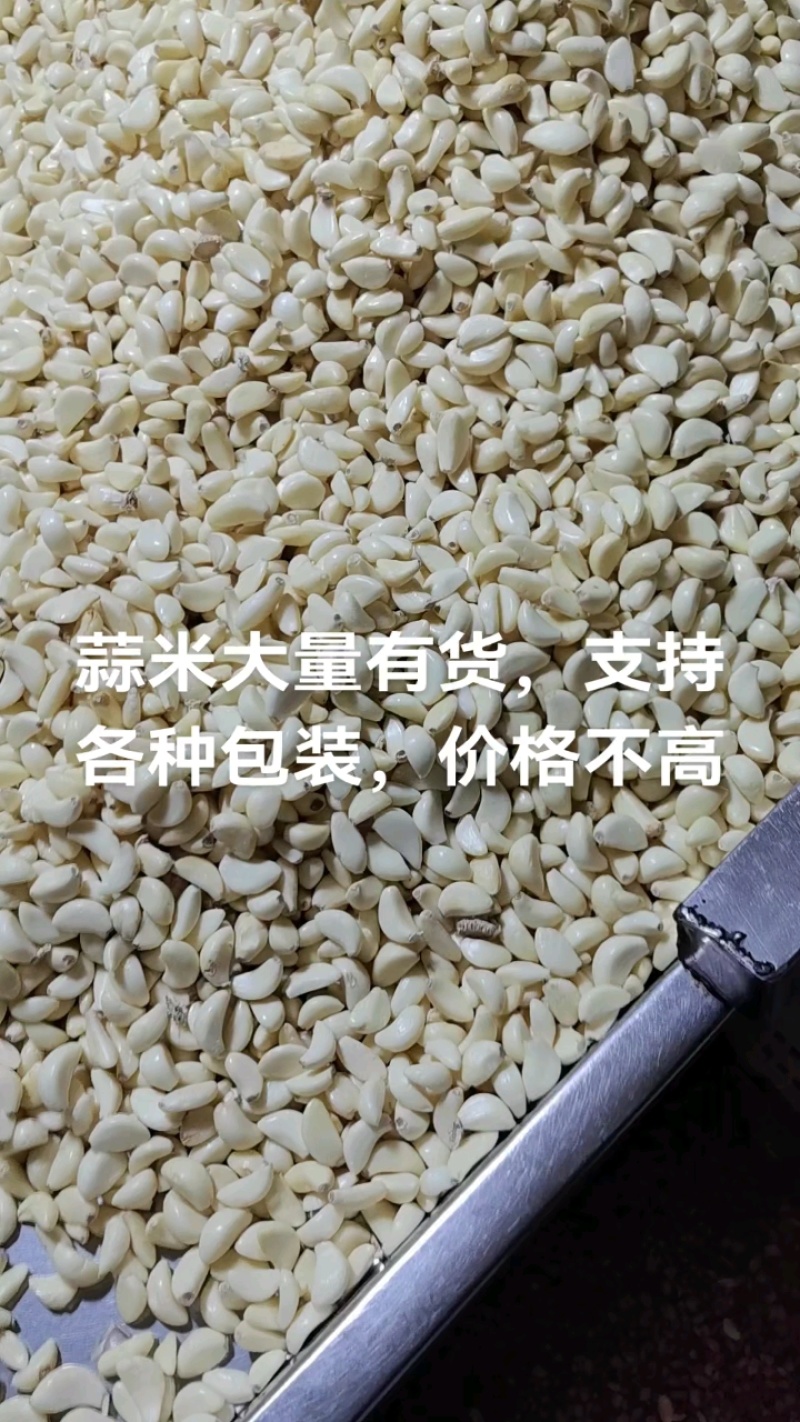 金乡蒜米，厂家直供，电商，市场，加工厂，均可一手货源
