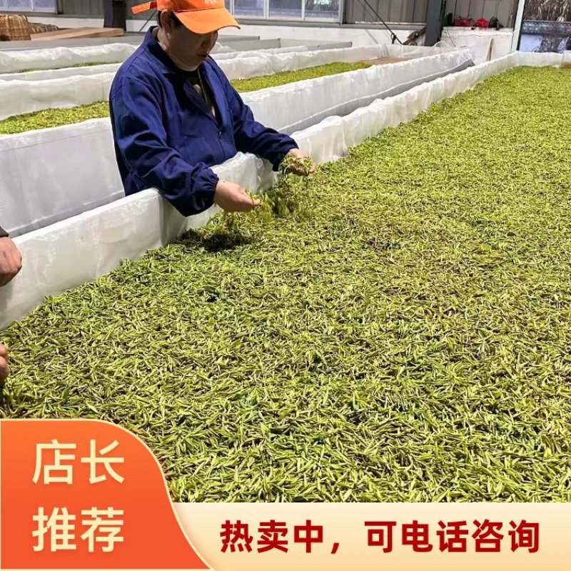 【精选】高山嫩芽祁门红茶安徽祁门县茶叶产地直发一手货源