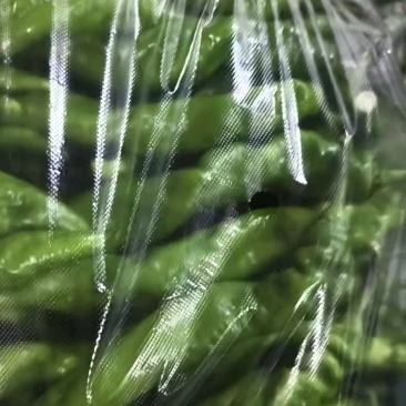 螺丝椒降价！毛毛钱，电商货箱装袋装可选