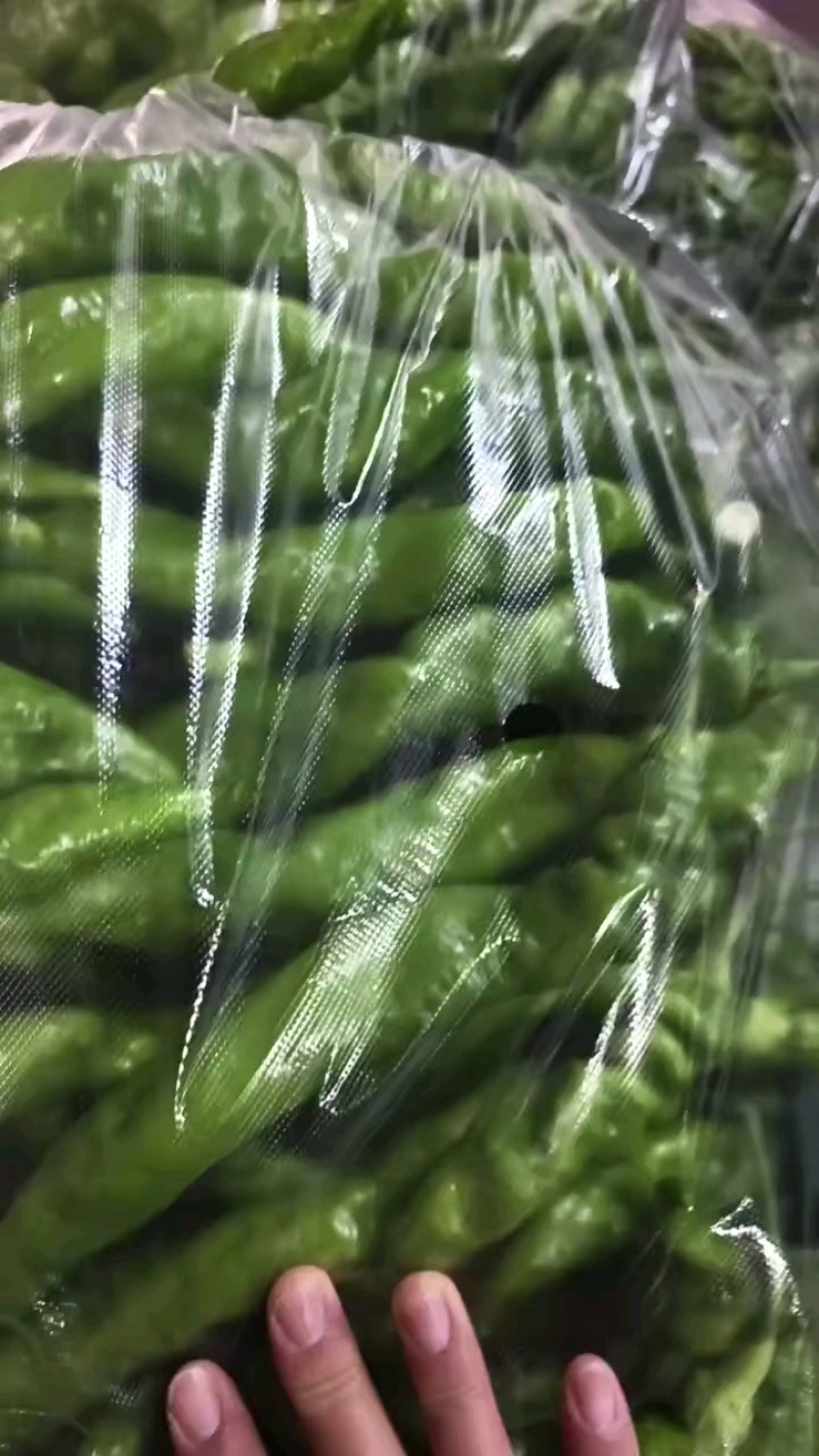 螺丝椒降价！毛毛钱，电商货箱装袋装可选