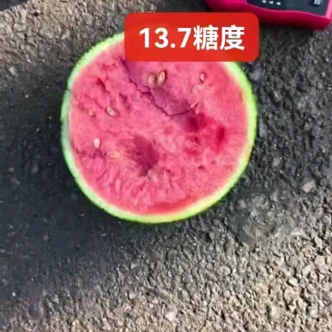 山东2k西瓜冰糖子西瓜小糖丸西瓜，可对接电商商超等