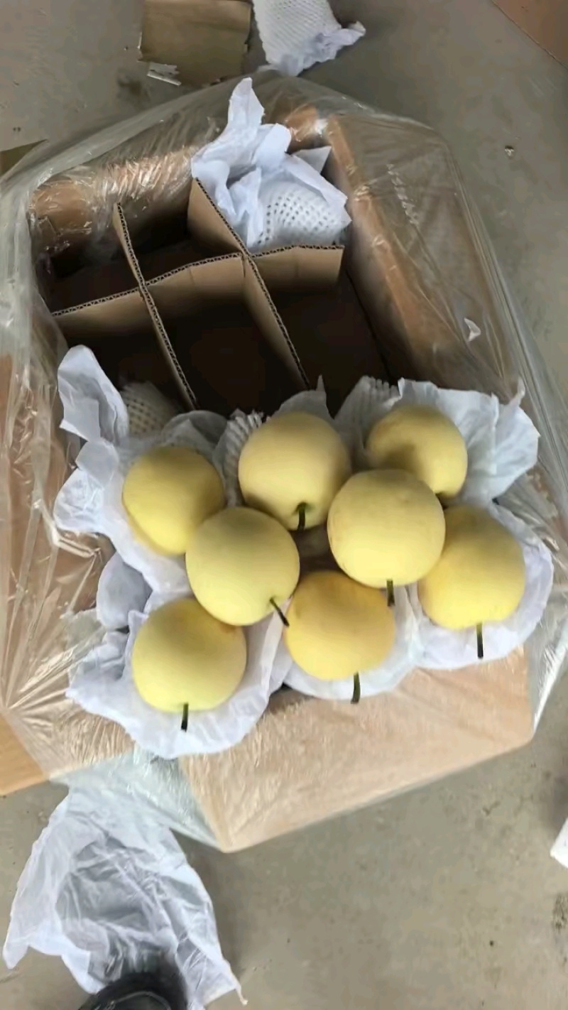【产地直发】赵县皇冠梨皮薄肉细脆甜爆汁欢迎来电