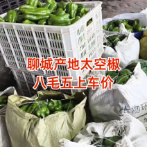 聊城产地太空椒，八毛五上车！