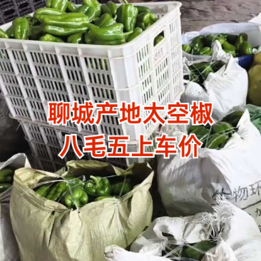 聊城产地太空椒，八毛五上车！