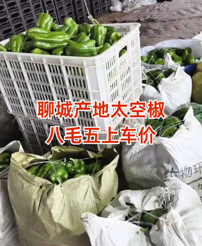 聊城产地太空椒，八毛五上车！