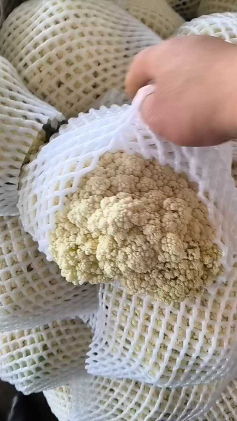 有机花大量上市走出口脱水加工质量精品，需要的老板联系我们