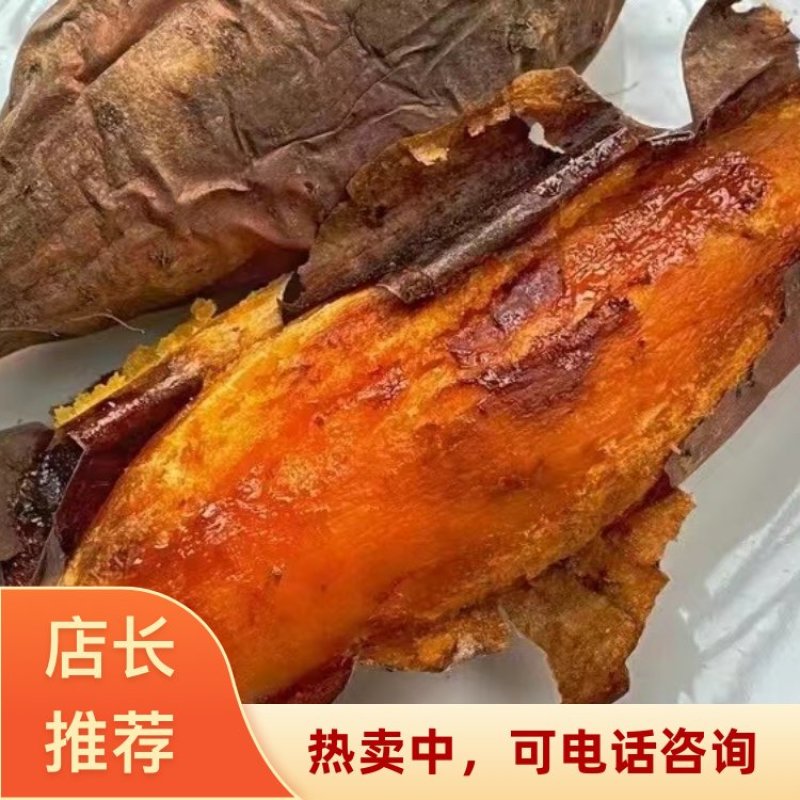 烟薯25保质保量基地一手货源现挖现发河北雄县一件代发