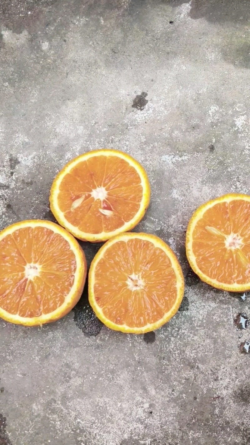 土血橙