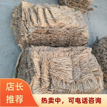 甘肃定西岷县白条党参现货直发可视频看货欢迎致电
