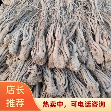 甘肃定西岷县中药材货源地直发当归好品质全国发货