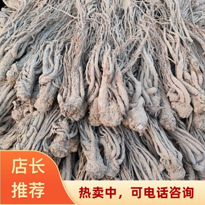 甘肃定西岷县中药材货源地直发当归好品质全国发货