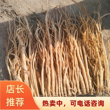 《党参》药材之乡优质中药材岷县白条党参常年批发全国发货