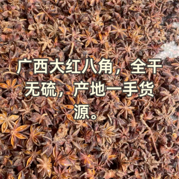 广西八角大红八角无硫足干产地直供一手货源