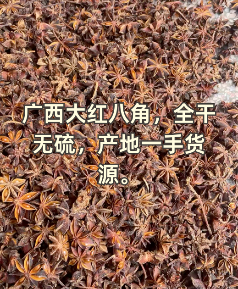 广西八角大红八角无硫足干产地直供一手货源