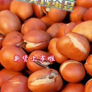 炒蚕豆