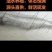 海鲈鱼