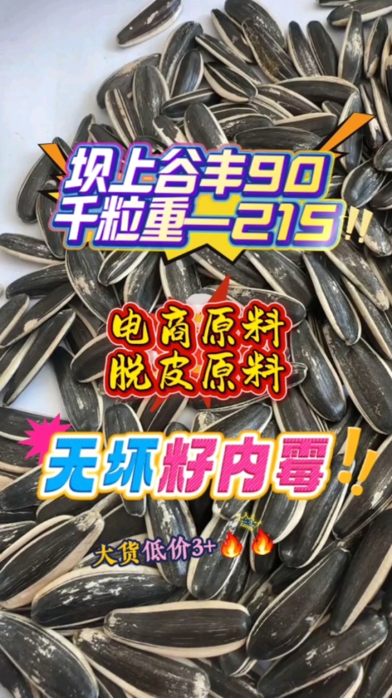 古风90颗粒大，3块多钱，现货20吨！