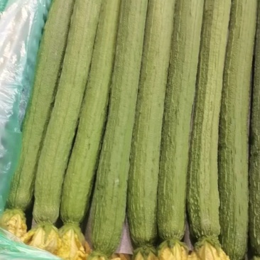 大量有货！狂抓抢购中！