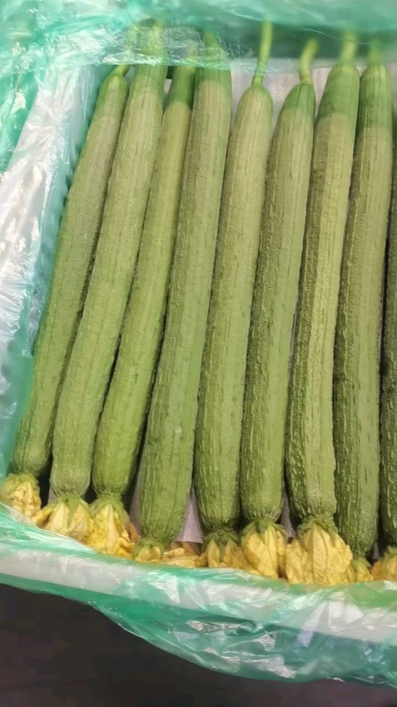 大量有货！狂抓抢购中！