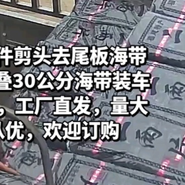 90公分剪头去尾板海带