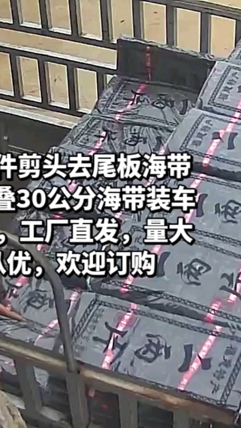 90公分剪头去尾板海带