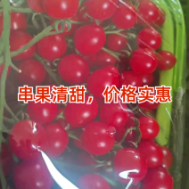 圣女果