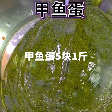 甲鱼蛋5块1斤，乌龟蛋5块1斤，吃甲鱼，甲鱼蛋你们怎么处理了
