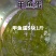 甲鱼蛋5块1斤，乌龟蛋5块1斤，吃甲鱼，甲鱼蛋你们怎么处理了