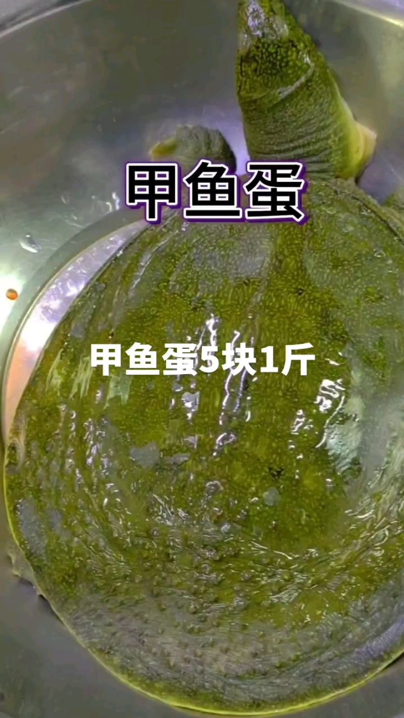 甲鱼蛋5块1斤，乌龟蛋5块1斤，吃甲鱼，甲鱼蛋你们怎么处理了