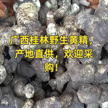 九制黄精，九蒸九晒，一蒸一晒，手工制作，纯野生黄精