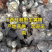 九制黄精，九蒸九晒，一蒸一晒，手工制作，纯野生黄精