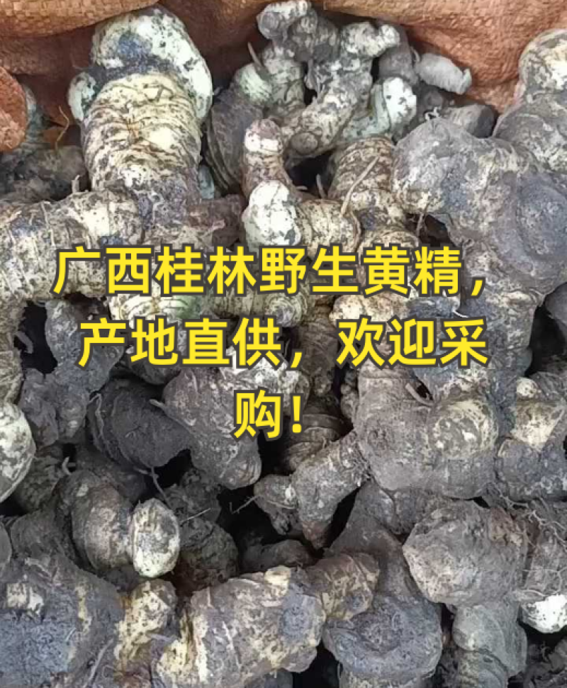 九制黄精，九蒸九晒，一蒸一晒，手工制作，纯野生黄精