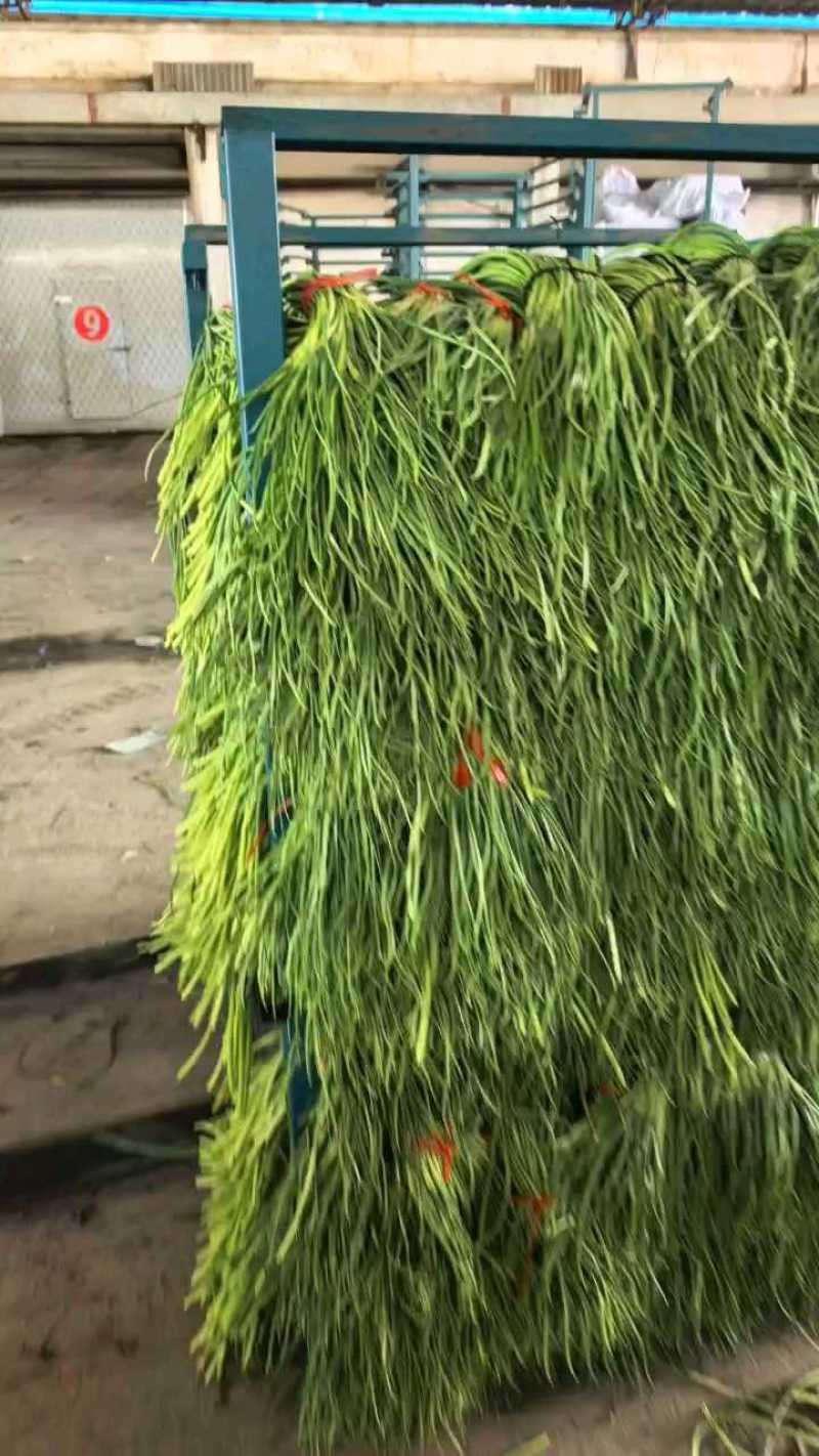 电商手扒台，35公分起步，条长还绿，价格不高！